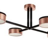 Origins of Light Lamp Spots