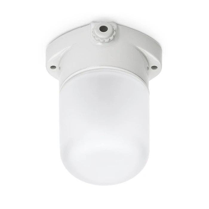 THPG 100769 Lampa sufitowa do sauny LISILUX biała S, klosz matowy (trawiony)